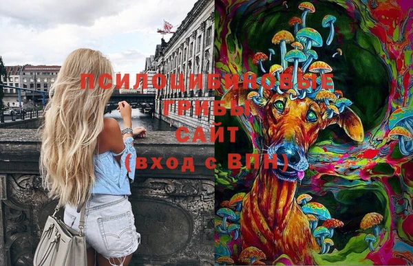 марки nbome Лагань